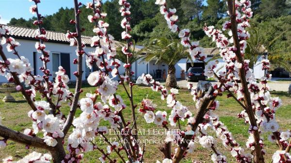 Villa  5 pièce(s) 222 m2