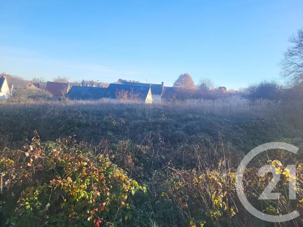 Terrain à vendre  1000 m2 DOMERAT - 03