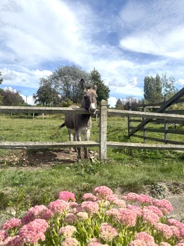 Maison 5 pièces - 160 m²