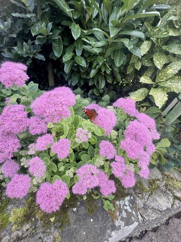 Maison 5 pièces - 160 m²