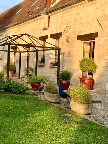 Vente / Corps de ferme