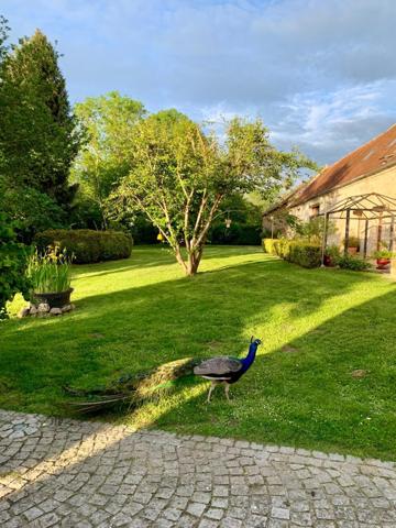 Vente / Corps de ferme