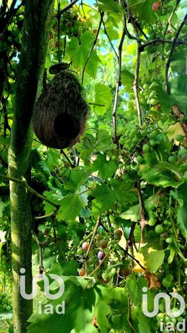 Maison à vendre 7 pièces 155 m² Chauny