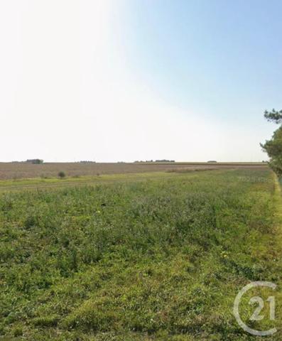 Terrain à vendre  1000 m2 ERCEVILLE - 45