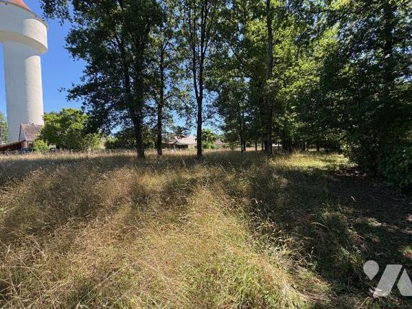 À vendre : terrain boisé de 2 764 m² à La Ferté-Imbault (41).
Situé au c?ur de la Sologne, dan...