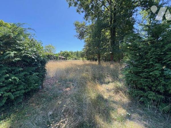 À vendre : terrain boisé de 2 764 m² à La Ferté-Imbault (41).
Situé au c?ur de la Sologne, dan...
