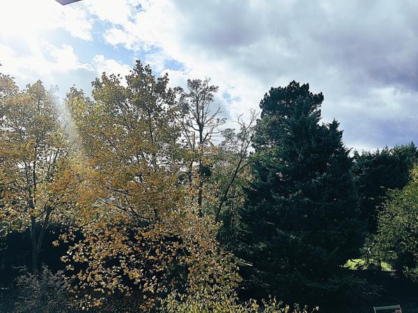 Beau 3 pièces, 2 terrasses