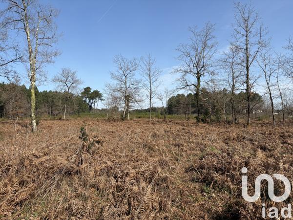 Terrain à vendre 1 009 m² Saint-Médard-en-Jalles