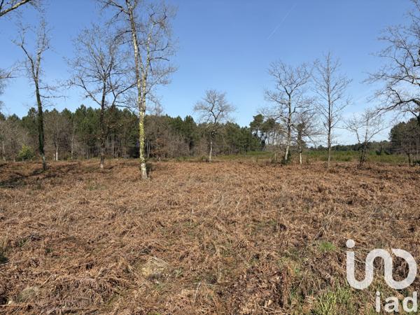 Terrain à vendre 1 009 m² Saint-Médard-en-Jalles