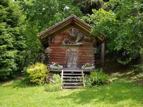 CHALET FAMILIAL - MONT D'ARBOIS
