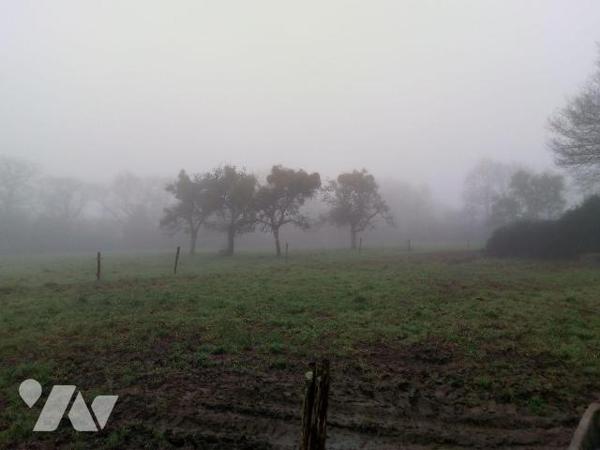 5 min. VILLAINES-LA-JUHEL (53):
Un ensemble immobilier composé de:
1) Une maison d'habitation...