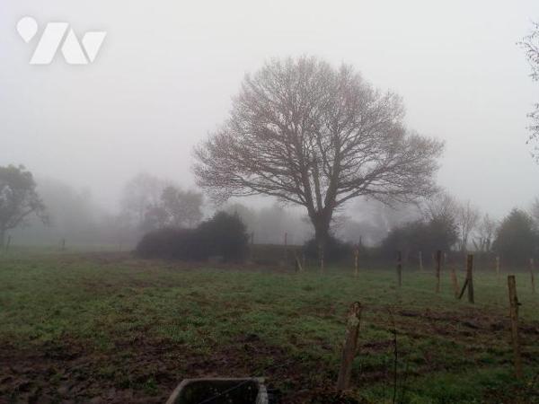 5 min. VILLAINES-LA-JUHEL (53):
Un ensemble immobilier composé de:
1) Une maison d'habitation...