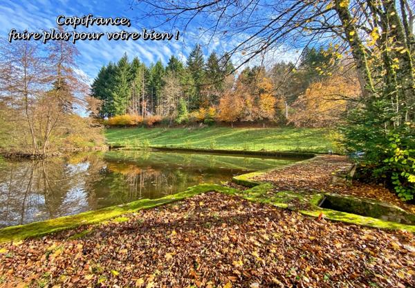 BELMONT DE LA LOIRE 42670, Maison à vendre 5 pièces, 151 m², 4 chambres, dépendances, Etang, sur terrain de 5179 m²