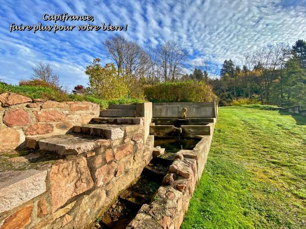 BELMONT DE LA LOIRE 42670, Maison à vendre 5 pièces, 151 m², 4 chambres, dépendances, Etang, sur terrain de 5179 m²