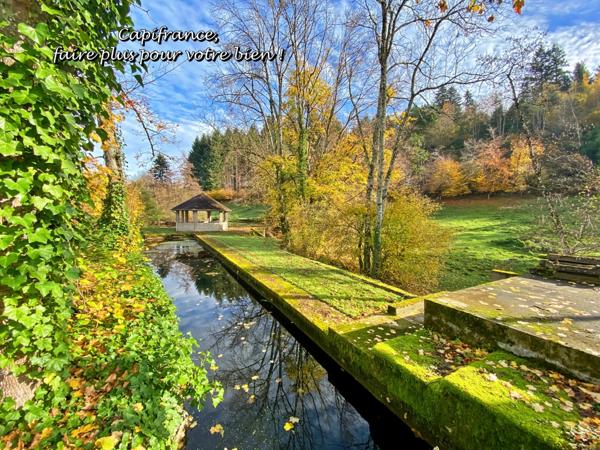 BELMONT DE LA LOIRE 42670, Maison à vendre 5 pièces, 151 m², 4 chambres, dépendances, Etang, sur terrain de 5179 m²