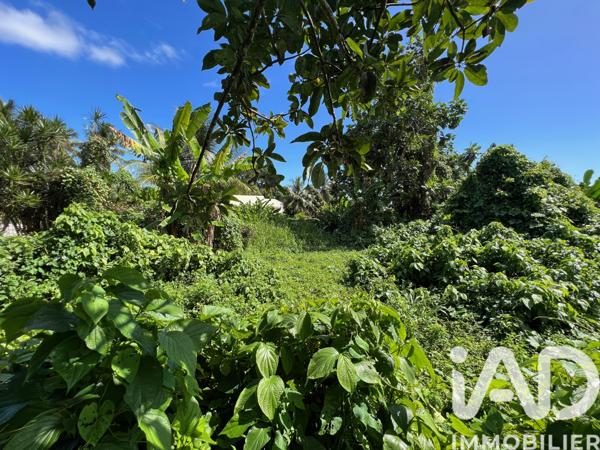 Terrain à vendre 1 240 m² Capesterre-Belle-Eau