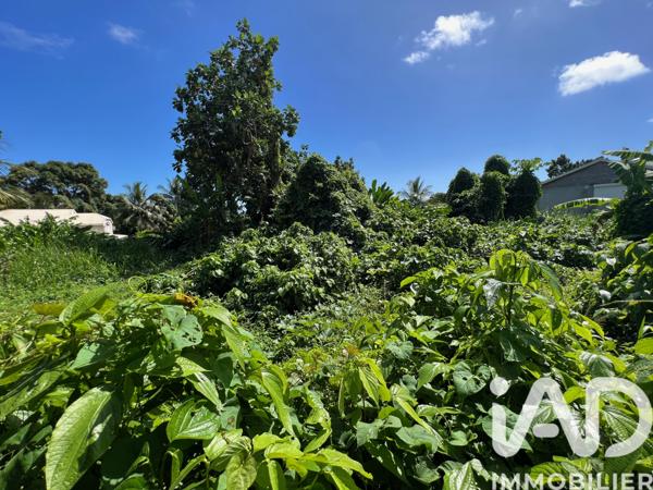 Terrain à vendre 1 240 m² Capesterre-Belle-Eau