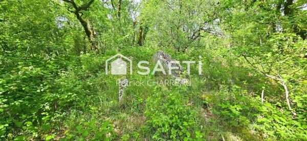 Terrain constructible - 1700 m² - CU ok