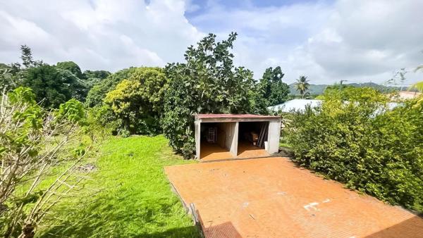 Maison avec grand jardin garage dépendance