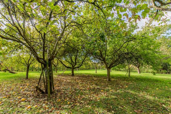 Maison 7 pièces - 190 m² Exclusivité efficity