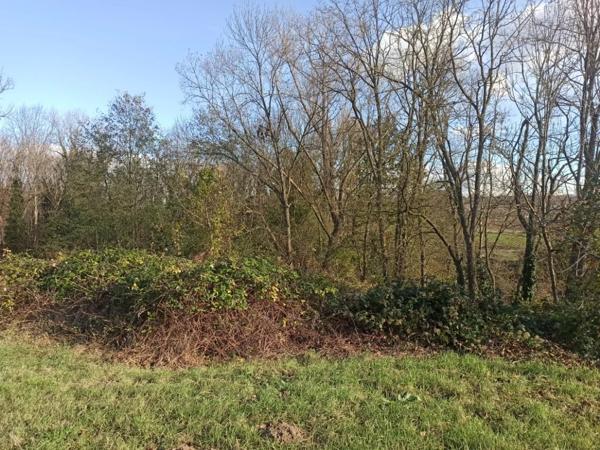 Immobilier Les Martres-d’Artière (63430) – Terrain inconstructible 2483m2 – 8 000 €