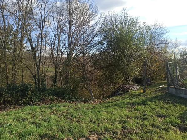 Immobilier Les Martres-d’Artière (63430) – Terrain inconstructible 2483m2 – 8 000 €