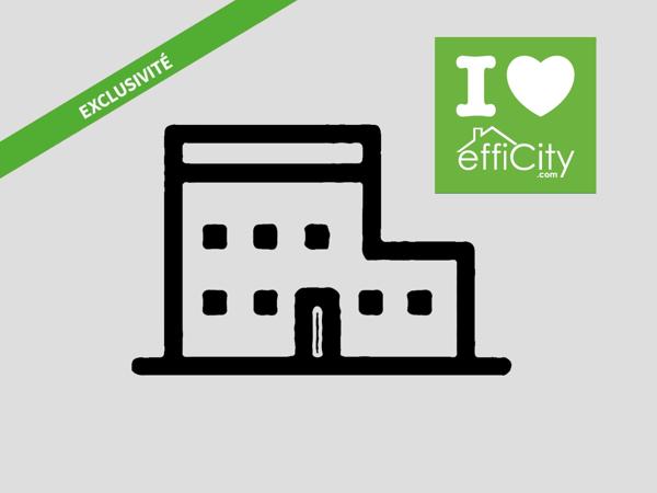 Immeuble 9 pièces - 252 m²