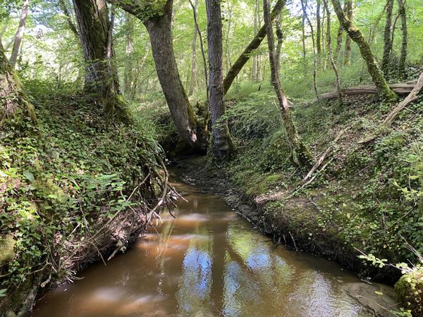 Propriété cadre naturel préservé