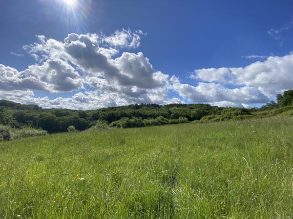 Propriété cadre naturel préservé