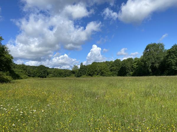 Propriété cadre naturel préservé