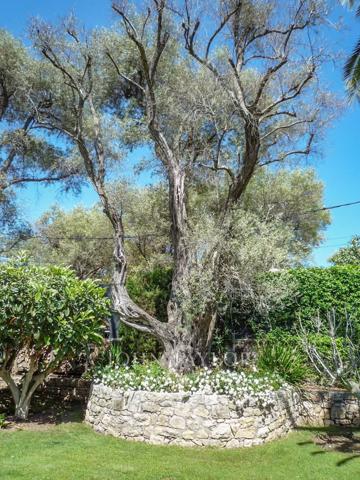 Cap d'Antibes | Versant Ouest