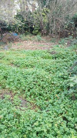 Yenne (73170) A 3 MINUTES DE YENNE TERRAIN 225 M² CONSTRUCTIBLE