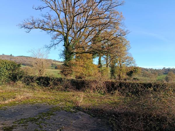 Grange à vendre à Saint-Dizier-Masbaraud (23400) - Creuse