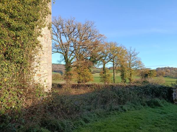Grange à vendre à Saint-Dizier-Masbaraud (23400) - Creuse