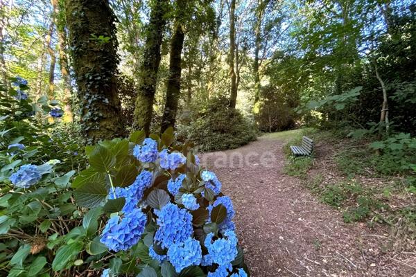 Terrain en zone naturelle et forestière boisé et fleuri de 4 880,00 m² proche de QUIMPER (29)