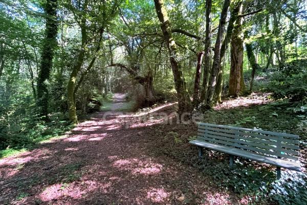 Terrain en zone naturelle et forestière boisé et fleuri de 4 880,00 m² proche de QUIMPER (29)