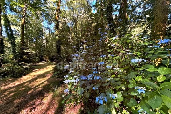 Terrain en zone naturelle et forestière boisé et fleuri de 4 880,00 m² proche de QUIMPER (29)