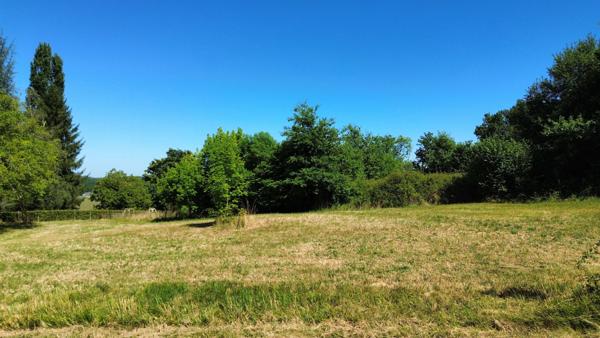 Terrain - 5119 m² Exclusivité efficity