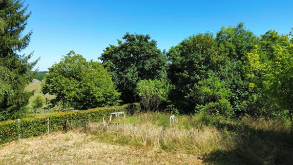 Terrain - 5119 m² Exclusivité efficity