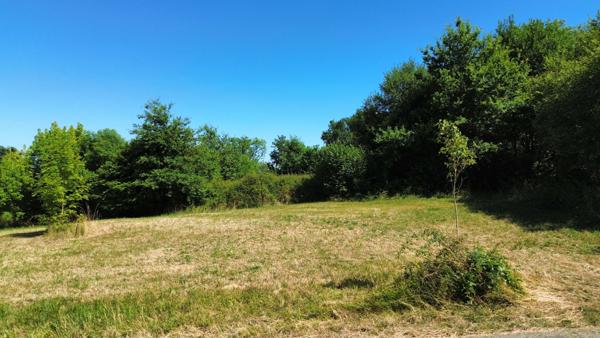 Terrain - 5119 m² Exclusivité efficity