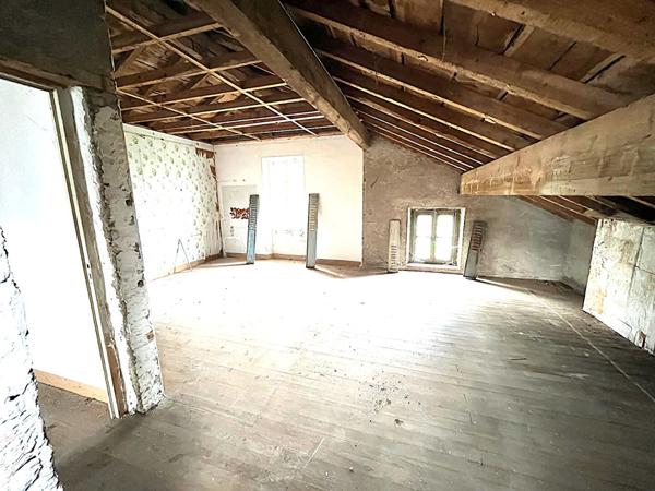 A VENDRE MAISON DE MAITRE/ IMMEUBLE LAVELANET SUR 4500 M2 de terrain