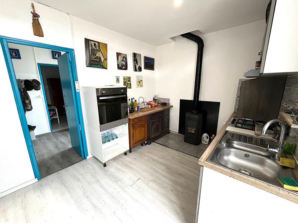 A VENDRE MAISON DE MAITRE/ IMMEUBLE LAVELANET SUR 4500 M2 de terrain