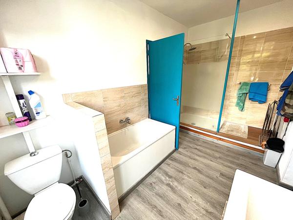 A VENDRE MAISON DE MAITRE/ IMMEUBLE LAVELANET SUR 4500 M2 de terrain