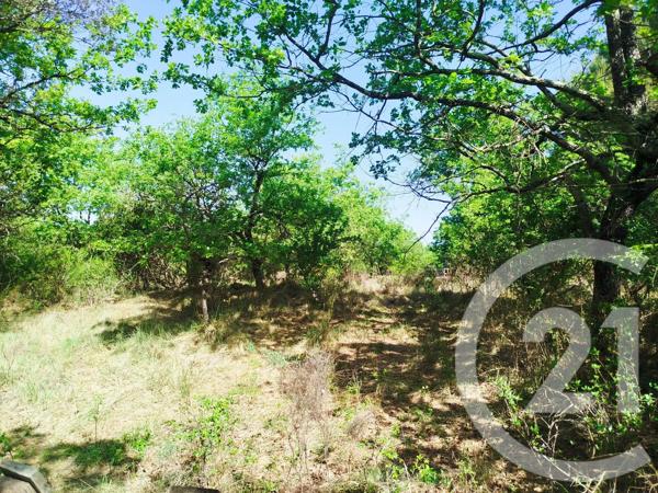 Terrain à vendre  2000 m 2   SOMMIERES  - 30