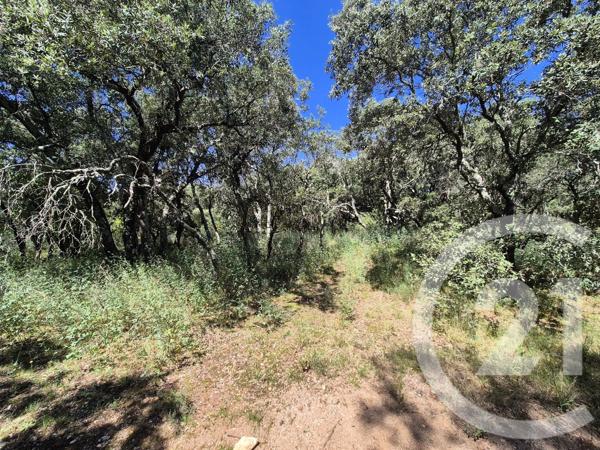 Terrain à vendre  2000 m 2   SOMMIERES  - 30