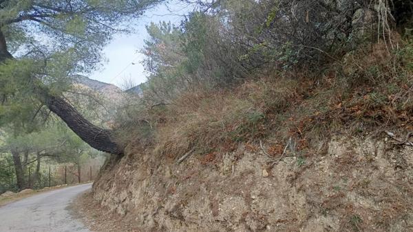 Terrains de loisirs à vendre de 7 769,00 m² (2 parcelles) PEILLE (06)