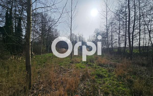 Terrain à vendre    Fressancourt