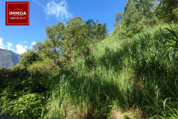 À vendre : Terrain constructible – Salazie, Mare à Citrons (97433) À vendre : Terrain constructible – Salazie, Mare à Citrons (97433)