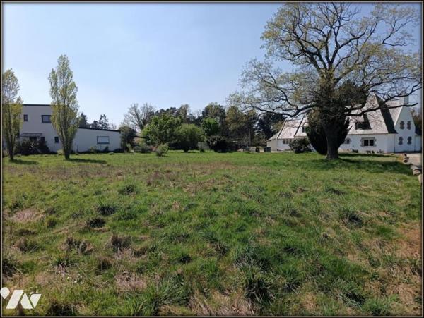 TERRAIN CONSTRUCTIBLE SAINT THURIAL COSSINADE