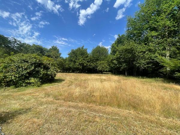 Maison Nogent-sur-vernisson 5 pièces